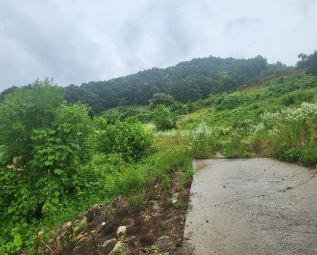 충청북도 괴산군 사리면 화산리 725 외 2필지 전 경매 사진 5