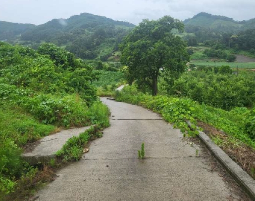 충청북도 괴산군 사리면 화산리 725 외 2필지 전 경매 사진 7