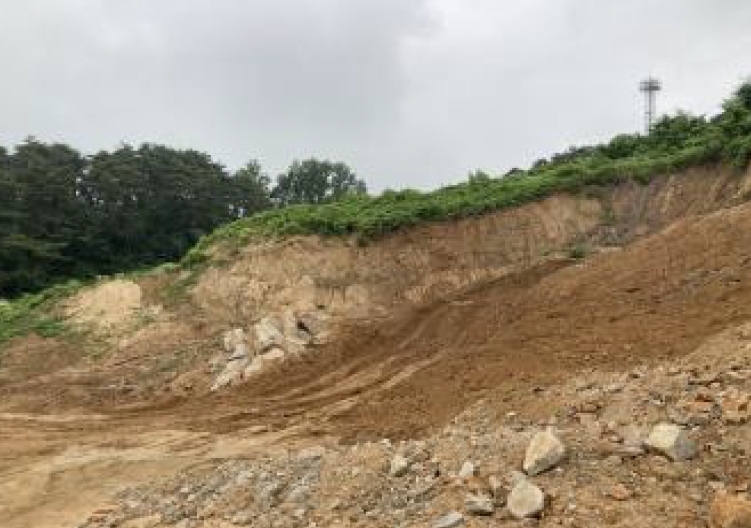 충청북도 제천시 송학면 시곡리 산96-4 외 28필지 임야 경매 사진 13