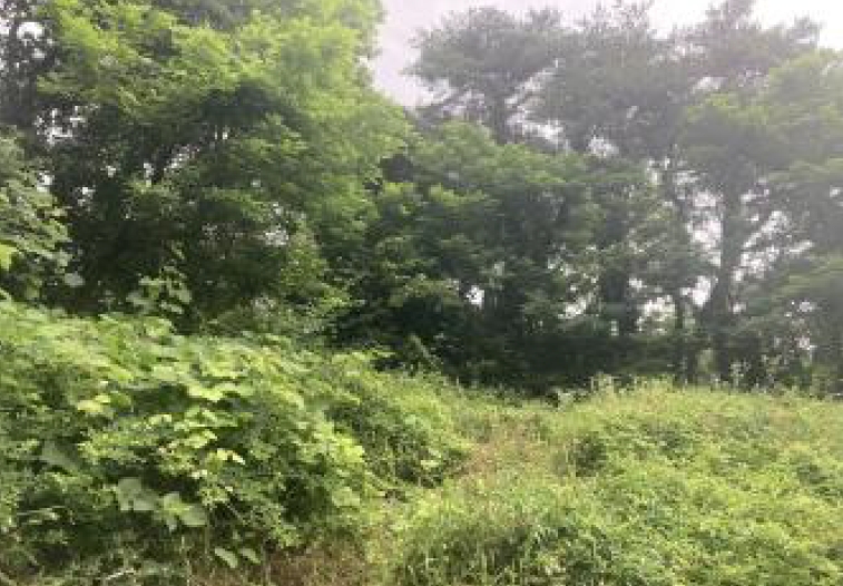 충청북도 제천시 송학면 시곡리 산96-4 외 28필지 임야 경매 사진 7