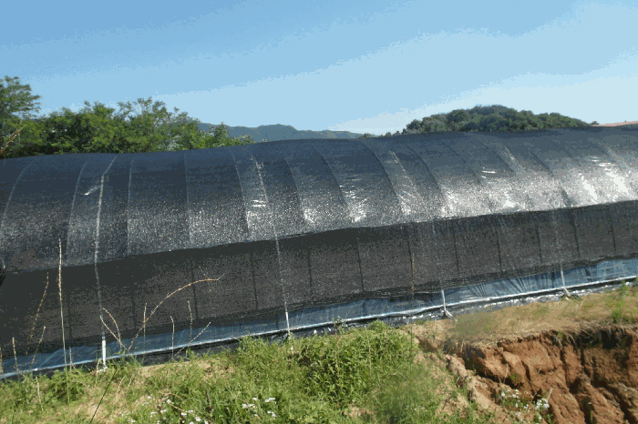 충청남도 논산시 은진면 시묘리 132-4 전 경매 사진 21