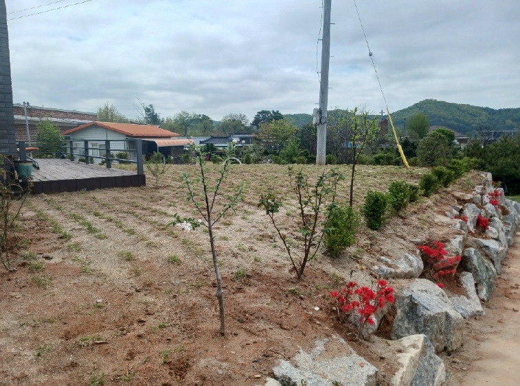 충청남도 공주시 의당면 수촌리 133-11 외 9필지 임야 경매 사진 15