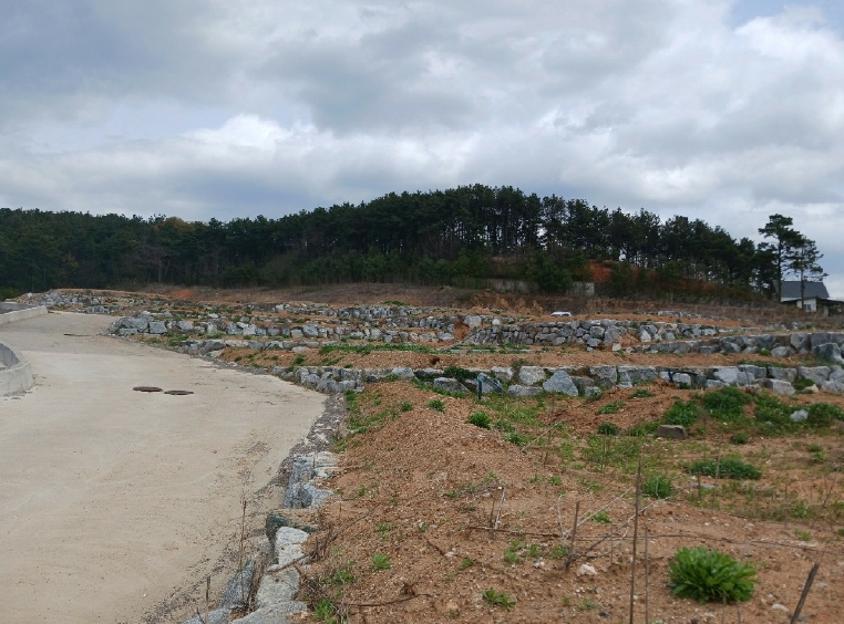 충청남도 공주시 의당면 수촌리 133-11 외 9필지 임야 경매 사진 7