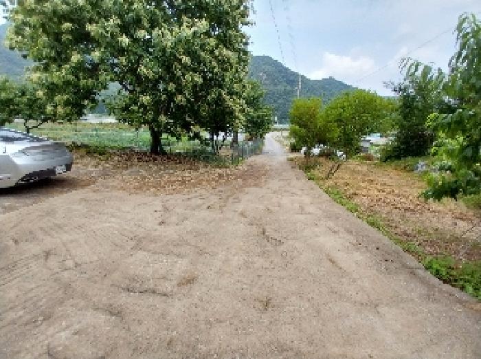 충청남도 공주시 반포면 온천리 264-2 외 1필지 단독주택 경매 사진 5