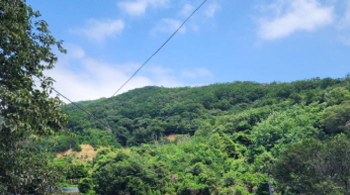 경상남도 양산시 상북면 내석리 산108 외 1필지 임야 경매 사진 1