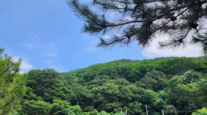경상남도 양산시 상북면 내석리 산108 외 1필지 임야 경매 사진 2
