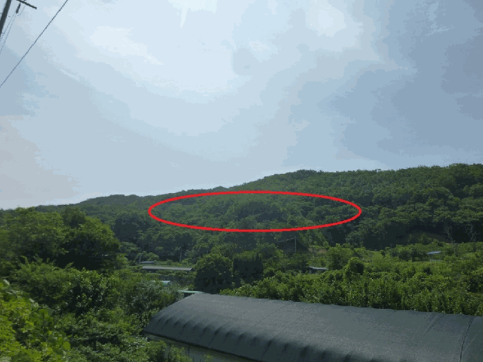 경상남도 양산시 상북면 내석리 산108 외 1필지 임야 경매 사진 3