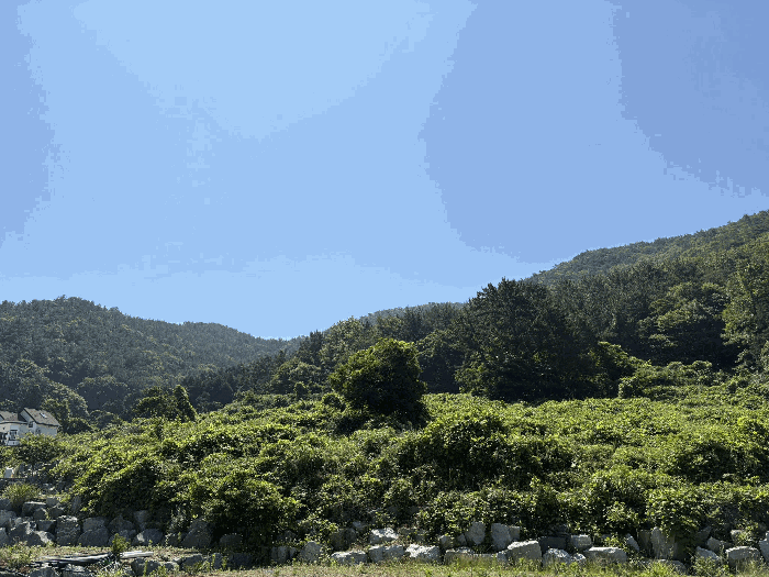 경상남도 남해군 미조면 송정리 762-1 전 경매 사진 12
