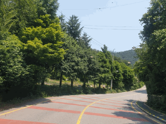 광주광역시 동구 지산동 25 외 1필지 전 경매 사진 5