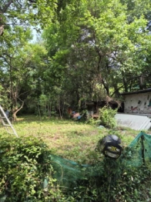 광주광역시 동구 지산동 18 전 경매 사진 3