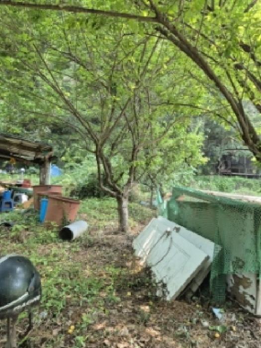 광주광역시 동구 지산동 18 전 경매 사진 5