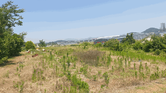 전북특별자치도 완주군 삼례읍 수계리 421-16 답 경매 사진 12