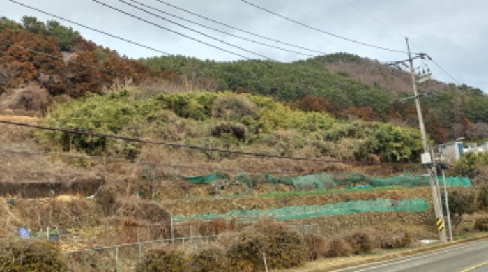 경상남도 거제시 일운면 옥림리 501 전 경매 사진 17