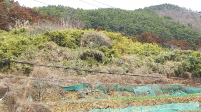 경상남도 거제시 일운면 옥림리 501 전 경매 사진 18