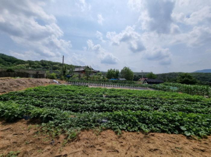 경기도 광주시 초월읍 무갑리 271-1 외 6필지 답 경매 사진 9