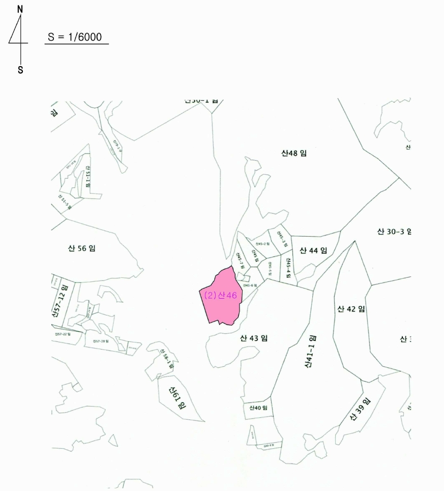 충청남도 계룡시 엄사면 향한리 471-4 외 4필지 임야 경매 사진 14