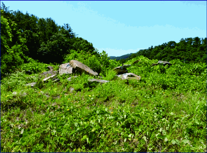 충청남도 계룡시 엄사면 향한리 471-4 외 4필지 임야 경매 사진 15