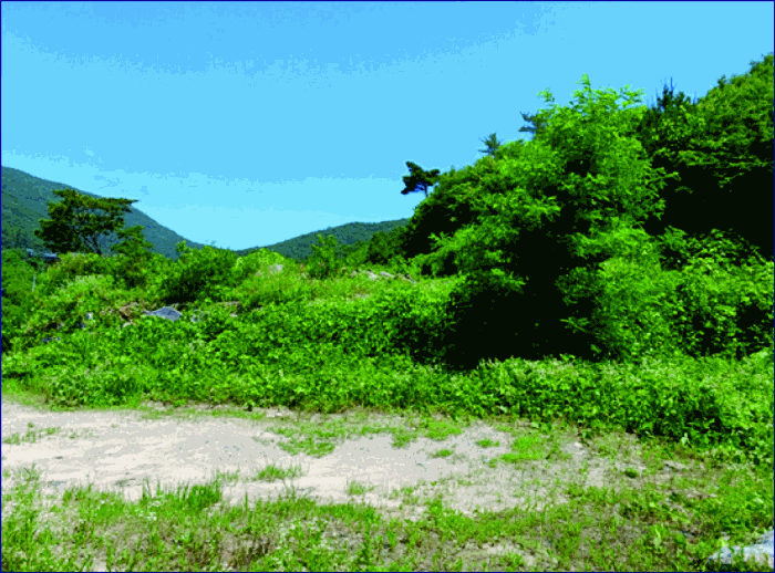 충청남도 계룡시 엄사면 향한리 471-4 외 4필지 임야 경매 사진 23