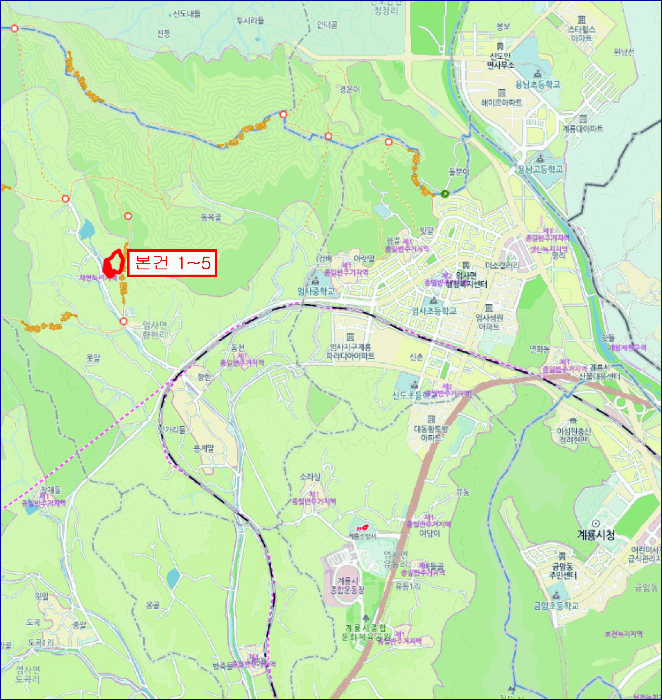 충청남도 계룡시 엄사면 향한리 471-4 외 4필지 임야 경매 사진 32