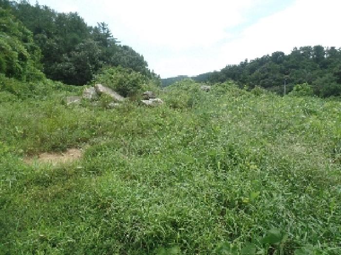 충청남도 계룡시 엄사면 향한리 471-4 외 4필지 임야 경매 사진 8
