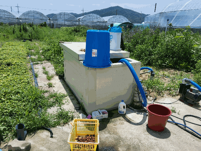 경상북도 김천시 봉산면 신리 239-6 외 1필지 과수원 경매 사진 11