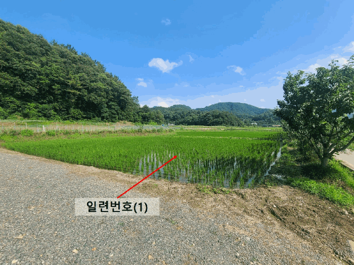 경상남도 함안군 함안면 봉성리 23 답 경매 사진 16