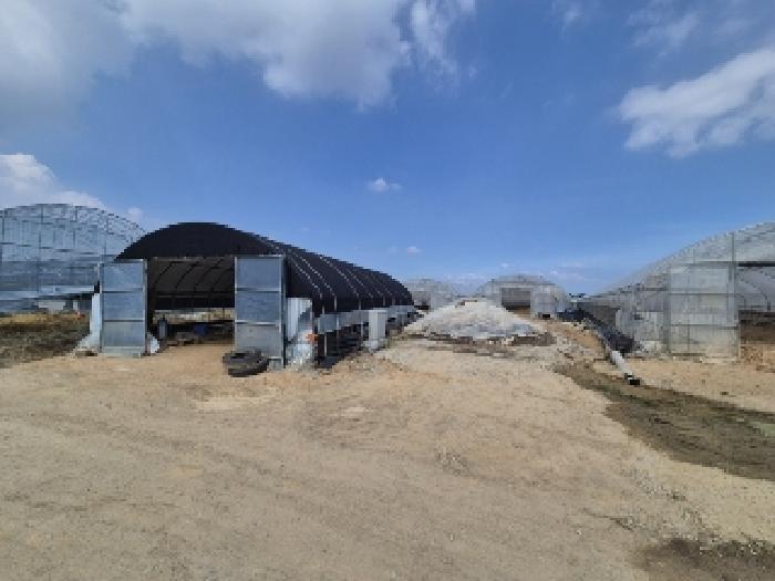 전라남도 나주시 산포면 내기리 563 외 2필지 전 경매 사진 17