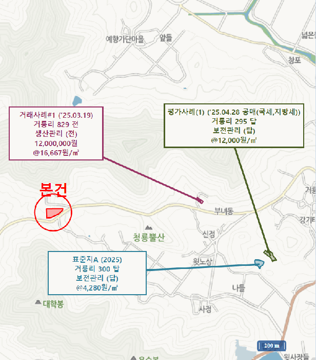 전라남도 진도군 의신면 거룡리 905-2 과수원 경매 사진 40