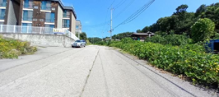 경기도 연천군 백학면 통구리 산149-1 외 8필지 임야 경매 사진 12