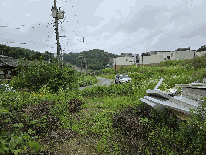 경기도 연천군 백학면 통구리 산149-1 외 8필지 임야 경매 사진 18