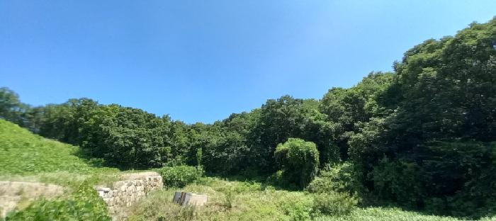 경기도 연천군 백학면 통구리 산149-1 외 8필지 임야 경매 사진 3