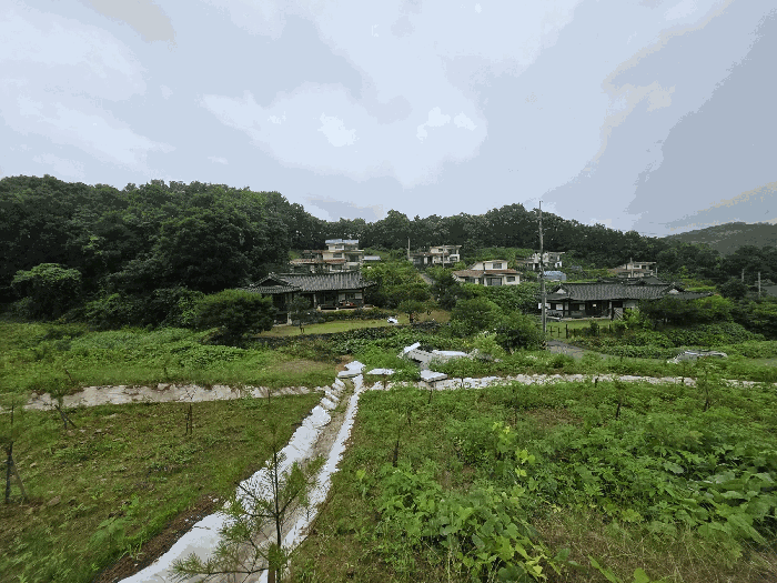 경기도 연천군 백학면 통구리 산149-1 외 8필지 임야 경매 사진 23