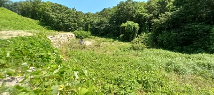 경기도 연천군 백학면 통구리 산149-1 외 8필지 임야 경매 사진 5
