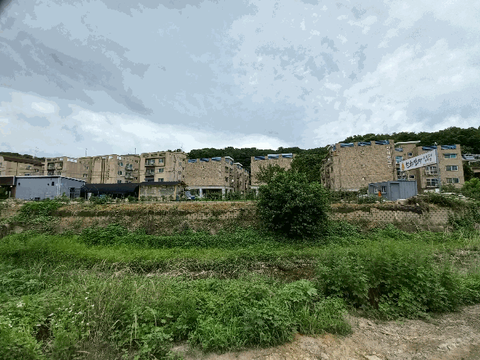 경기도 남양주시 진접읍 장현리 423-12 3층303호 외 1필지 다세대주택 경매 사진 5