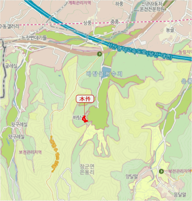 세종특별자치시 장군면 은용리 352-8 외 1필지 전 경매 사진 29