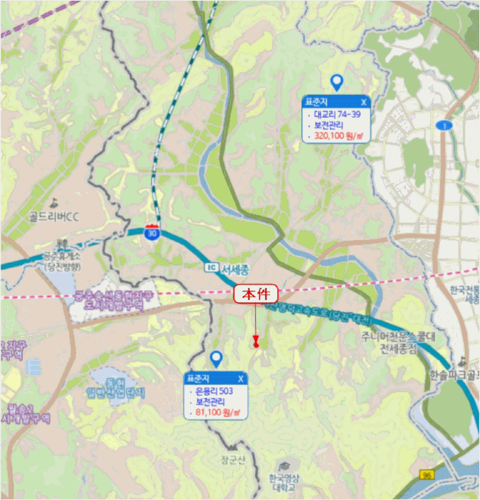 세종특별자치시 장군면 은용리 352-8 외 1필지 전 경매 사진 30