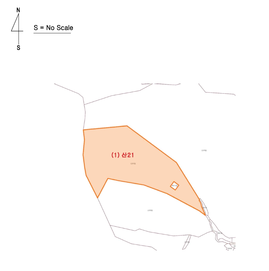 충청남도 공주시 우성면 죽당리 산21 임야 경매 사진 12