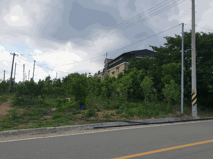 경상북도 경산시 압량읍 당음리 190 외 1필지 전 경매 사진 4