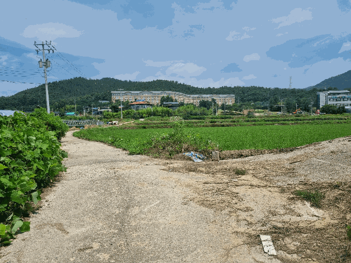 경상북도 구미시 산동읍 인덕리 96 외 1필지 답 경매 사진 3