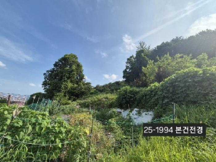 부산광역시 강서구 성북동 1228-2 전 경매 사진 12