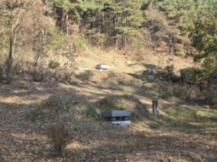 경상남도 거창군 위천면 모동리 산113 임야 경매 사진 2