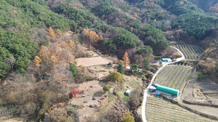 경상남도 거창군 위천면 모동리 산113 임야 경매 사진 23