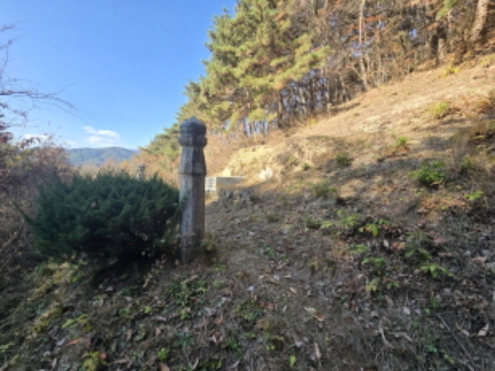 경상남도 거창군 위천면 모동리 산113 임야 경매 사진 6