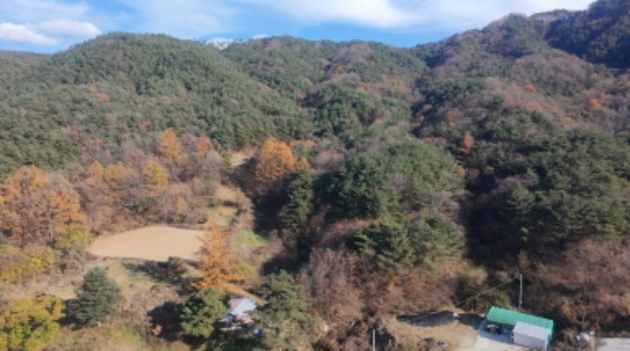 경상남도 거창군 위천면 모동리 산113 임야 경매 사진 10