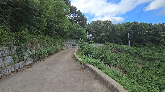충청북도 영동군 영동읍 계산리 산24-6 임야 경매 사진 50