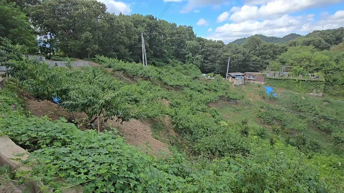 충청북도 영동군 영동읍 계산리 산24-6 임야 경매 사진 54