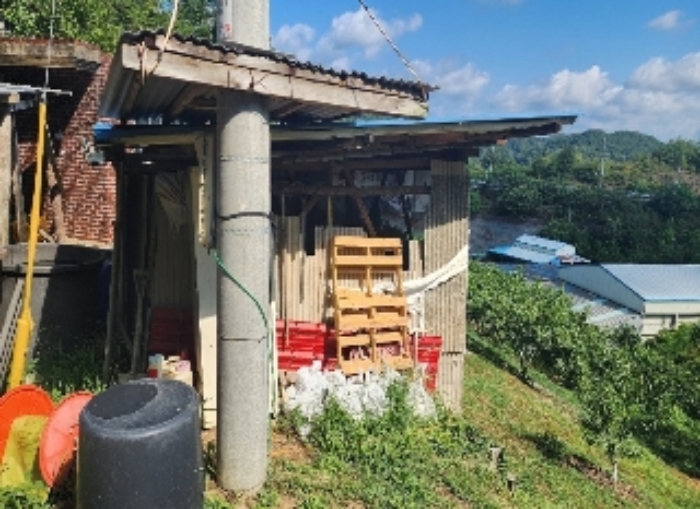 충청북도 영동군 영동읍 계산리 산24-6 임야 경매 사진 45