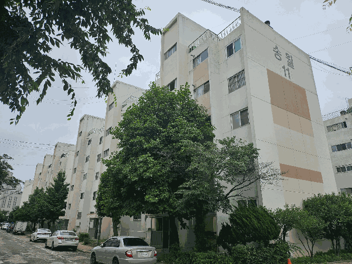 인천광역시 중구 송월동1가 10-1 송월아파트 11동 2층202호 아파트 경매 사진 19