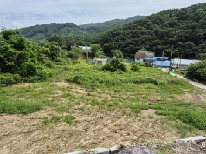 강원특별자치도 원주시 흥업면 대안리 1920 대지 경매 사진 1