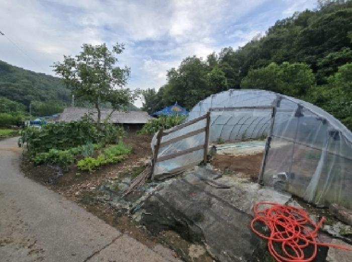 충청북도 진천군 백곡면 성대리 174 대지 경매 사진 1